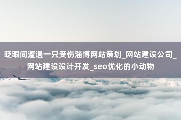 眨眼间遭遇一只受伤淄博网站策划_网站建设公司_网站建设设计开发_seo优化的小动物
