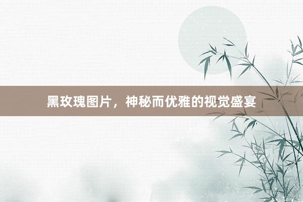 黑玫瑰图片,神秘而优雅的视觉盛宴
