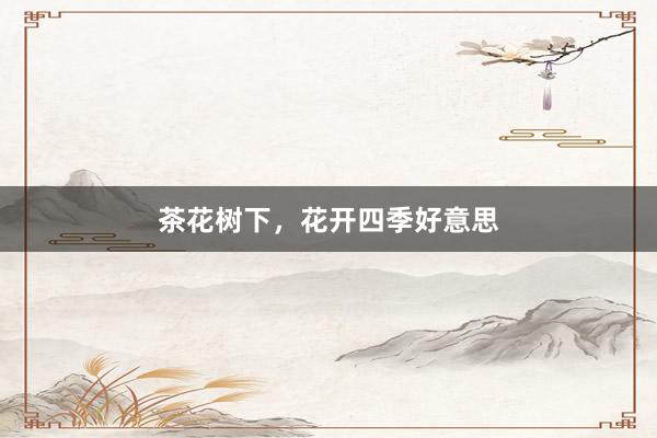 茶花树下,花开四季好意思