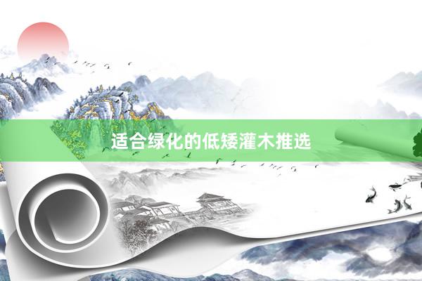 适合绿化的低矮灌木推选