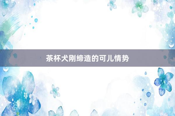 茶杯犬刚缔造的可儿情势